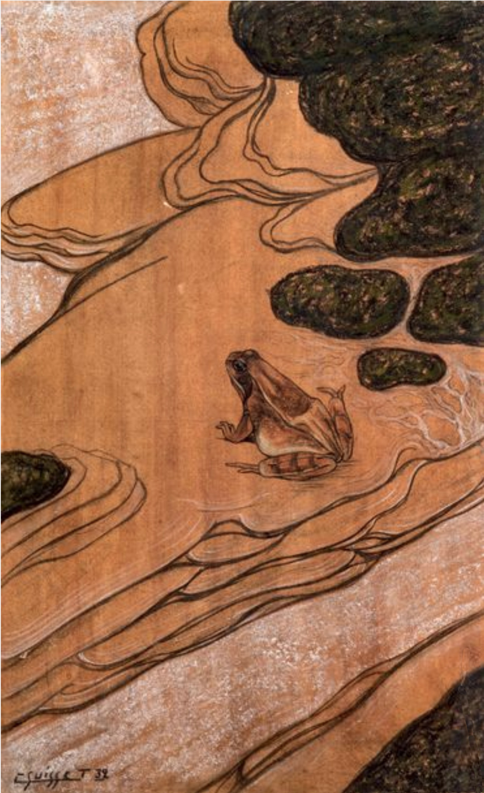 Grenouille rousse sur un rocher, 1932